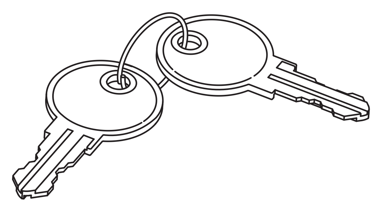 Replacement key 142582 compatible with IKEA PS metal cabinet. Restore access to your furniture. Free delivery.